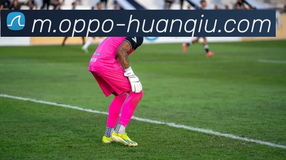 环球体育平台生态图